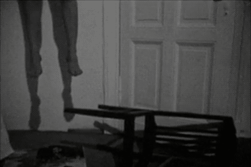 IMG-8954.gif