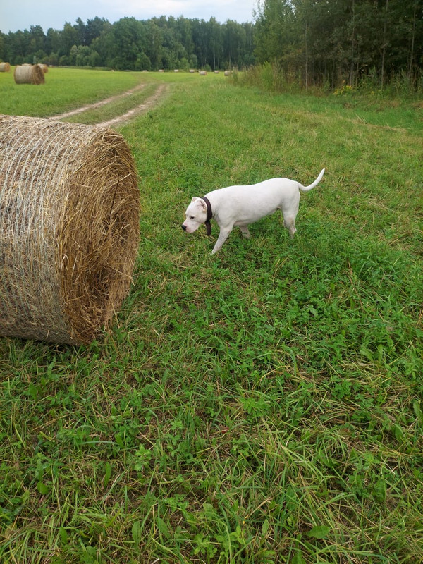 5C51E7BD-A25E-416E-9D9C-5960E1B779D3