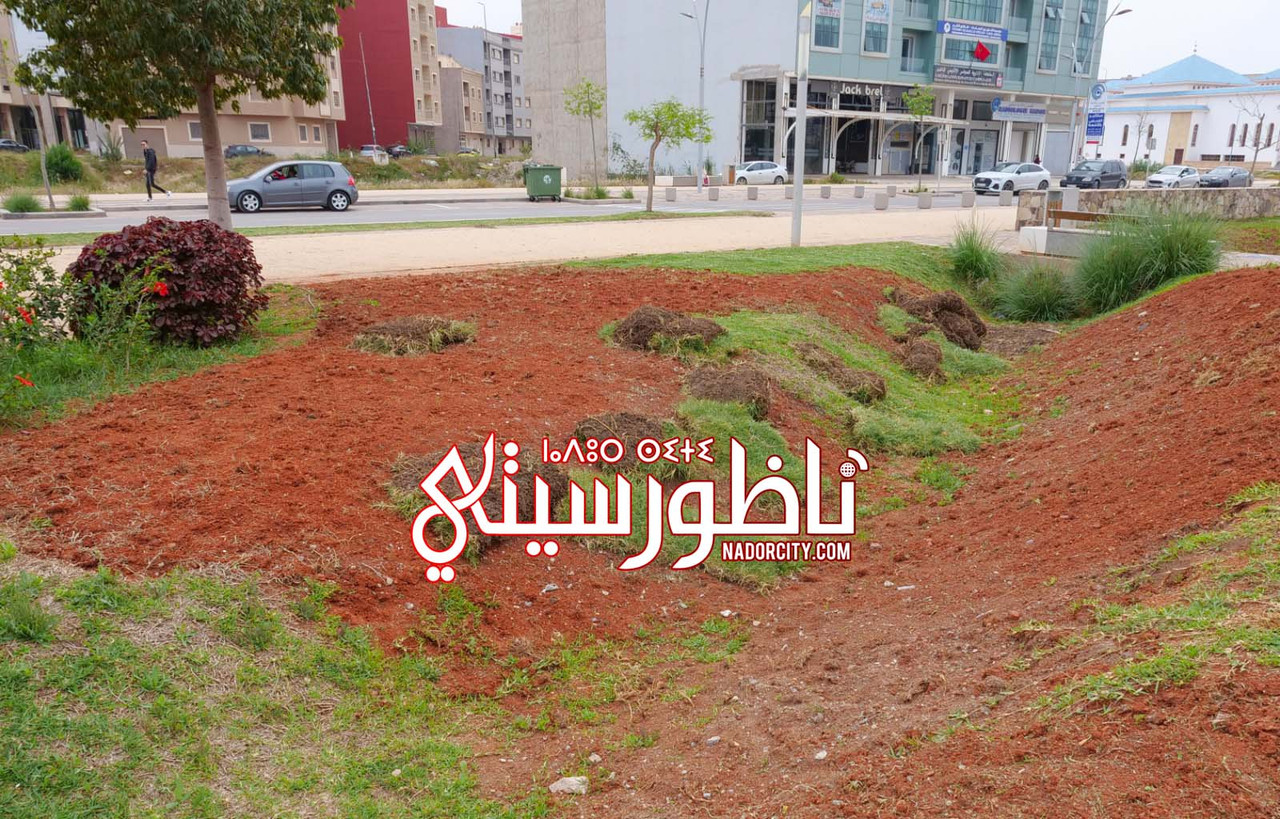 Whats-App-Image-2026-06-05-at-20-05-33-(1)
