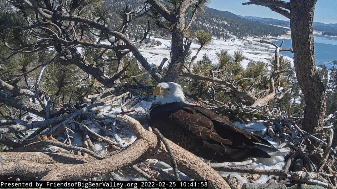 Webp.net-gifmaker (6)