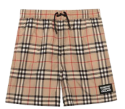 Burberry Shorts [2+ styles]