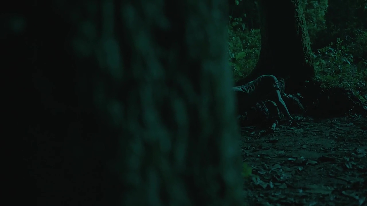 vlcsnap 2025 11 03 23h49m36s173