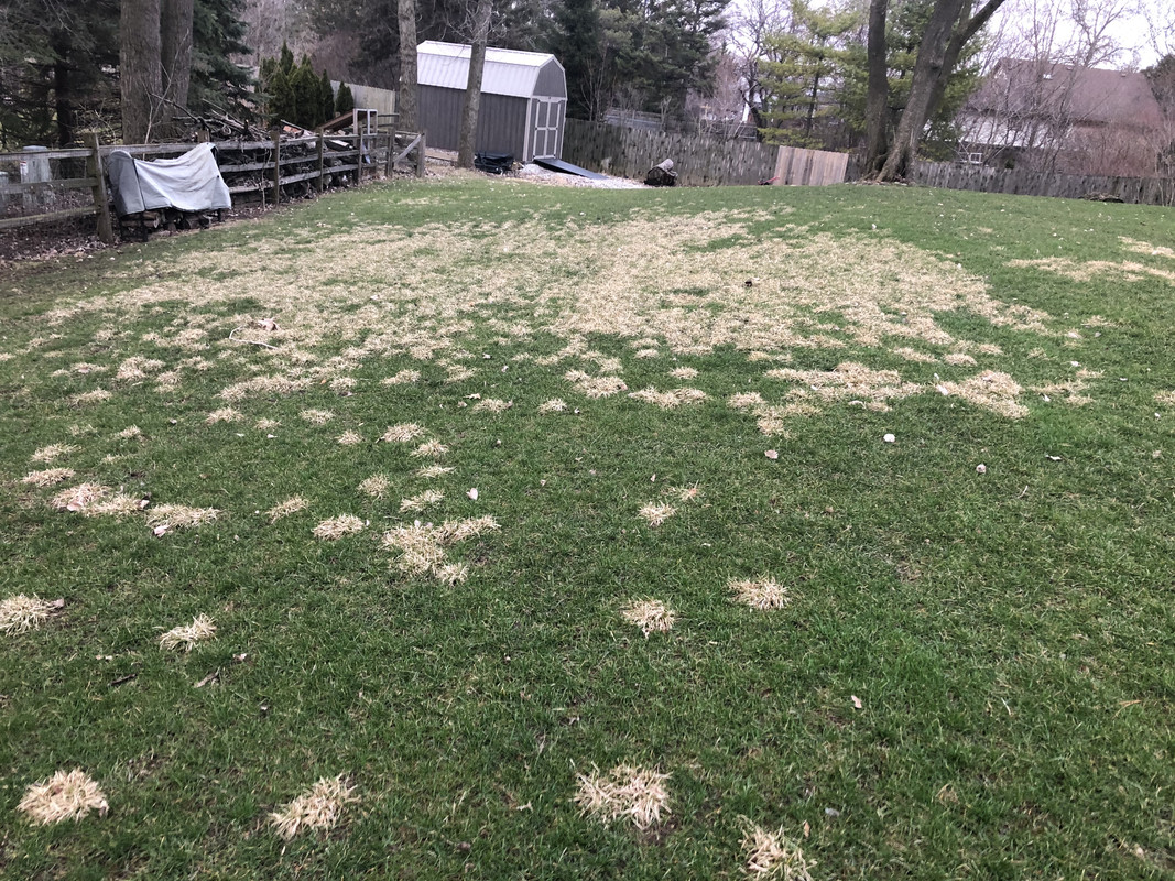 9C12BF5D-EC2C-4424-9981-AAA1EA2AB169