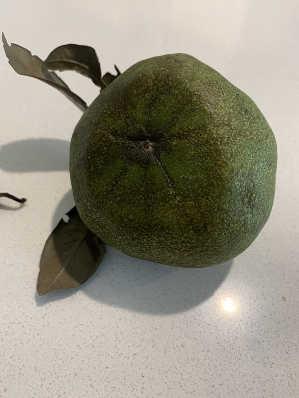 DF24F1F5-9162-426B-AC7F-585408DDD660