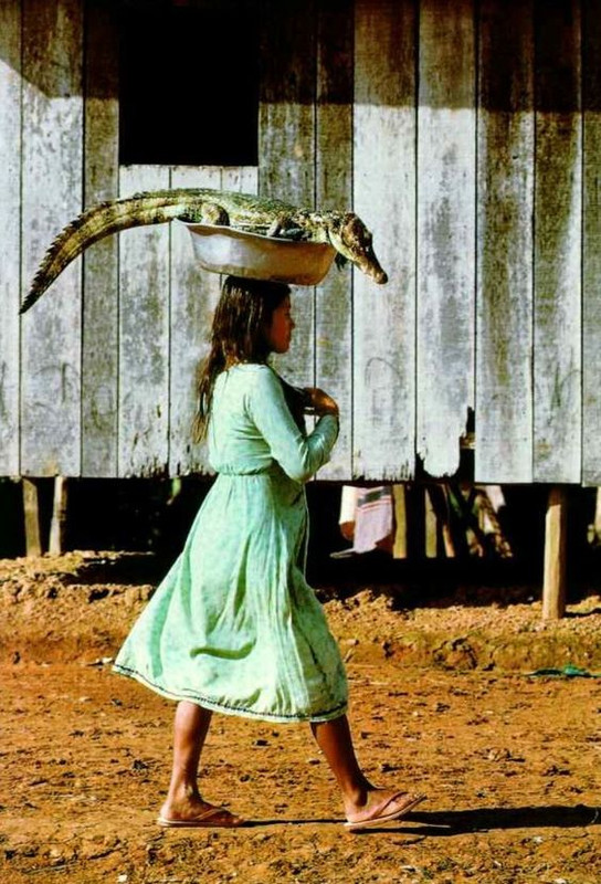 greencrocdilewoman.jpg