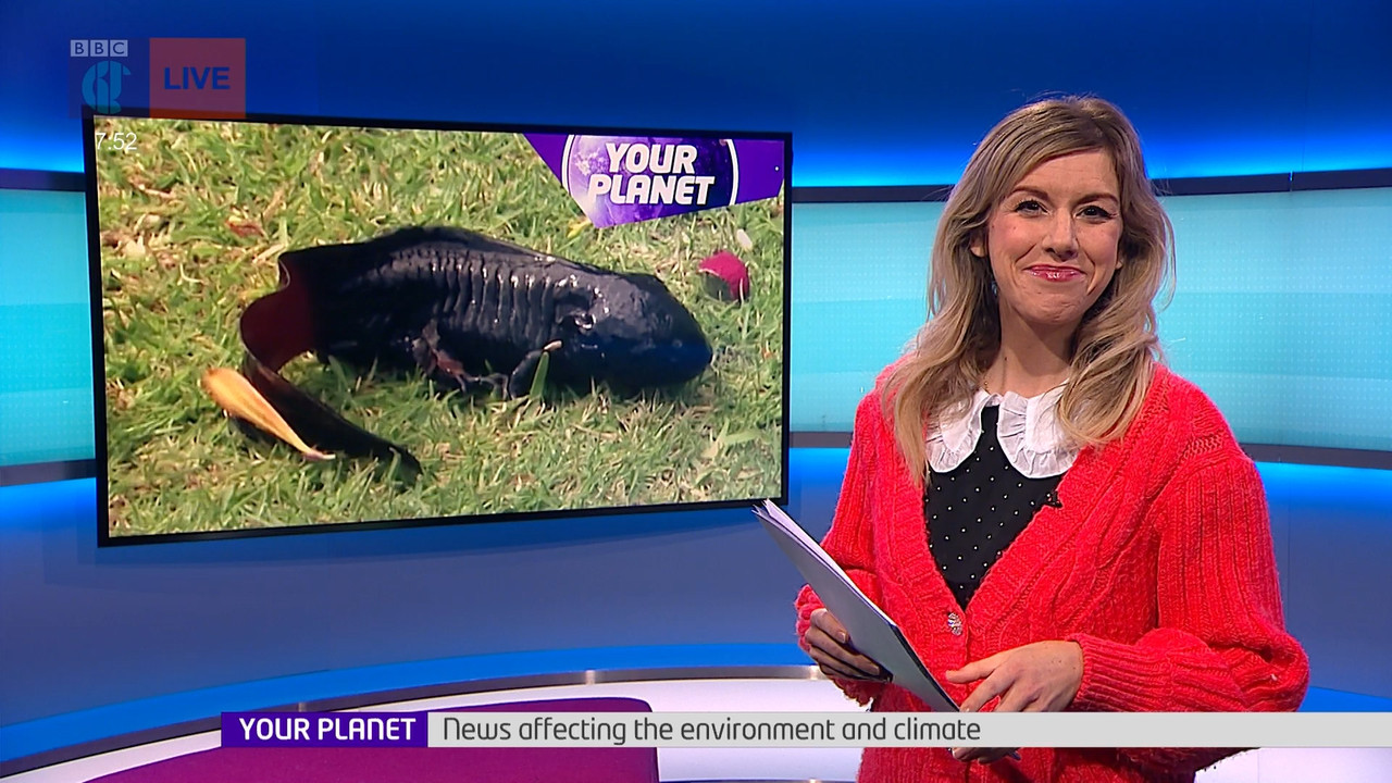 Newsround_20220223_07450755.ts_snapshot_08.41.973