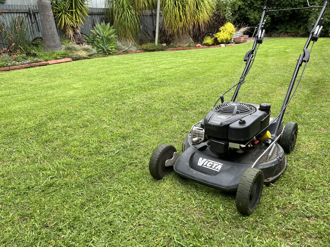 Victa sprinter lawn mower hotsell