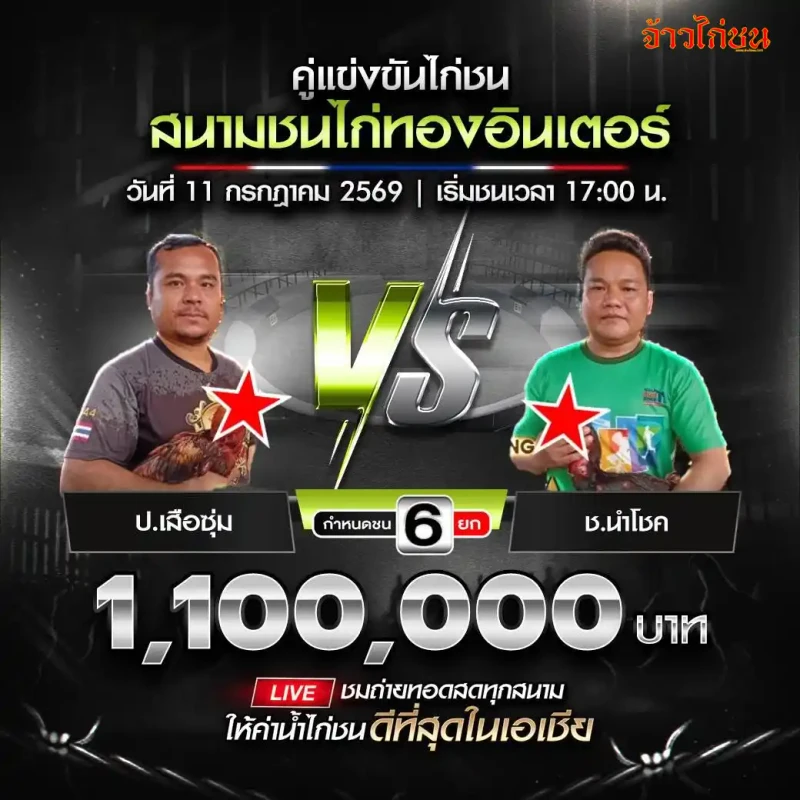 คู่ที่ 6 ป.เสือซุ่ม พบ ช.นำโชค สนามชนไก่ทองอินเตอร์ วันที่ 11 กรกฎาคม 2569