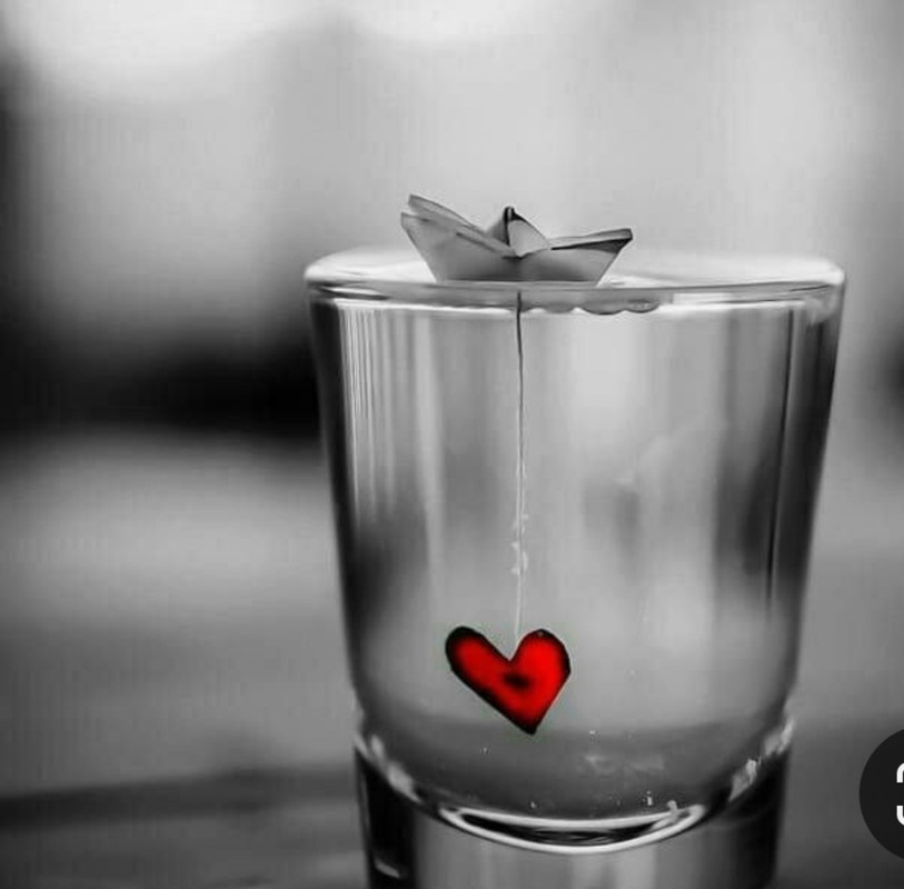 Screenshot_20240214_115503_Pinterest