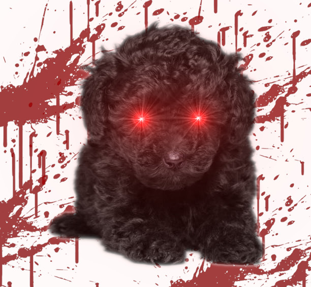 murderpuppy.jpg