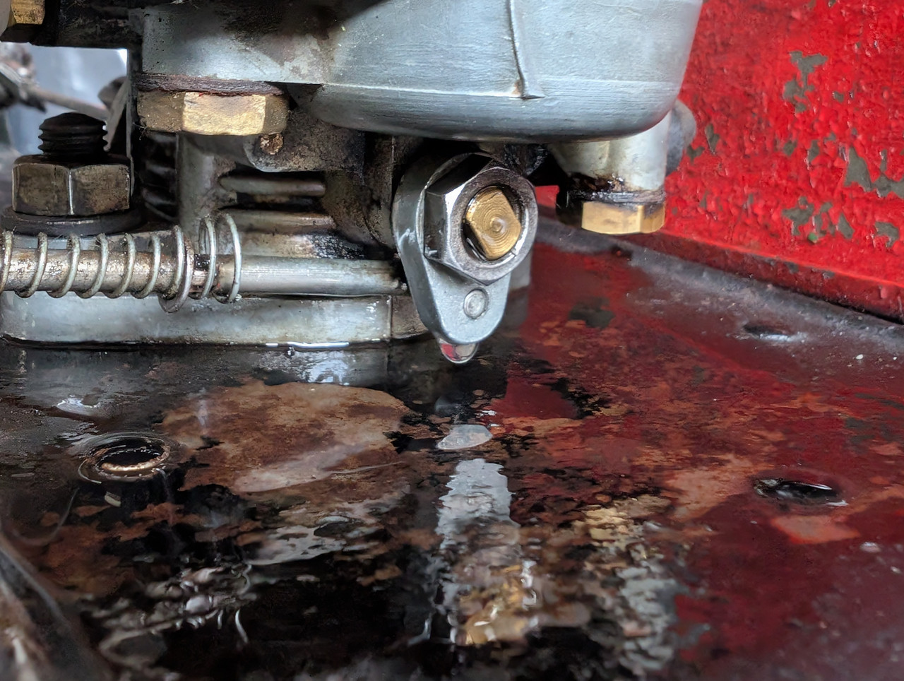 PXL 20251203 134634761