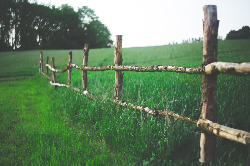 greywppdenfence-Field.jpg
