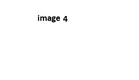 image4.jpg