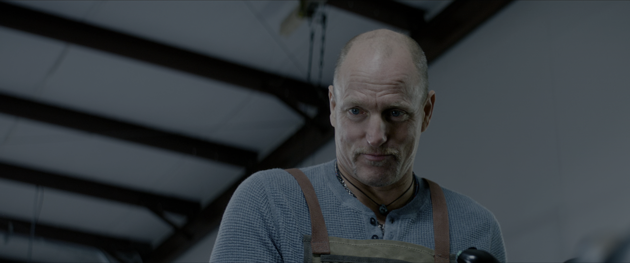 Zombieland Doppio colpo (2019) [BluRay Rip 2160p HEVC 10bit-HDR 