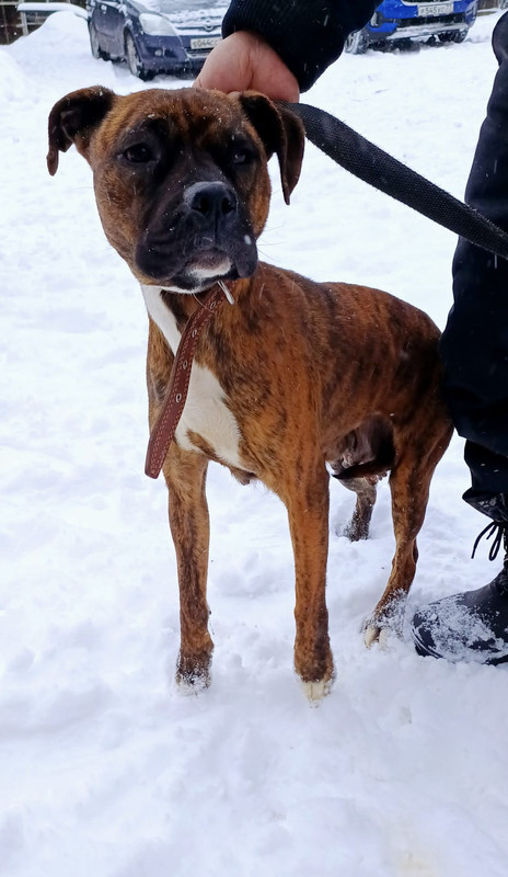 WhatsApp Image 2024-01-11 at 14.51.45 (2)