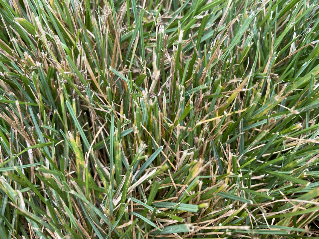 06145421-552C-4D61-9608-E121334614B0