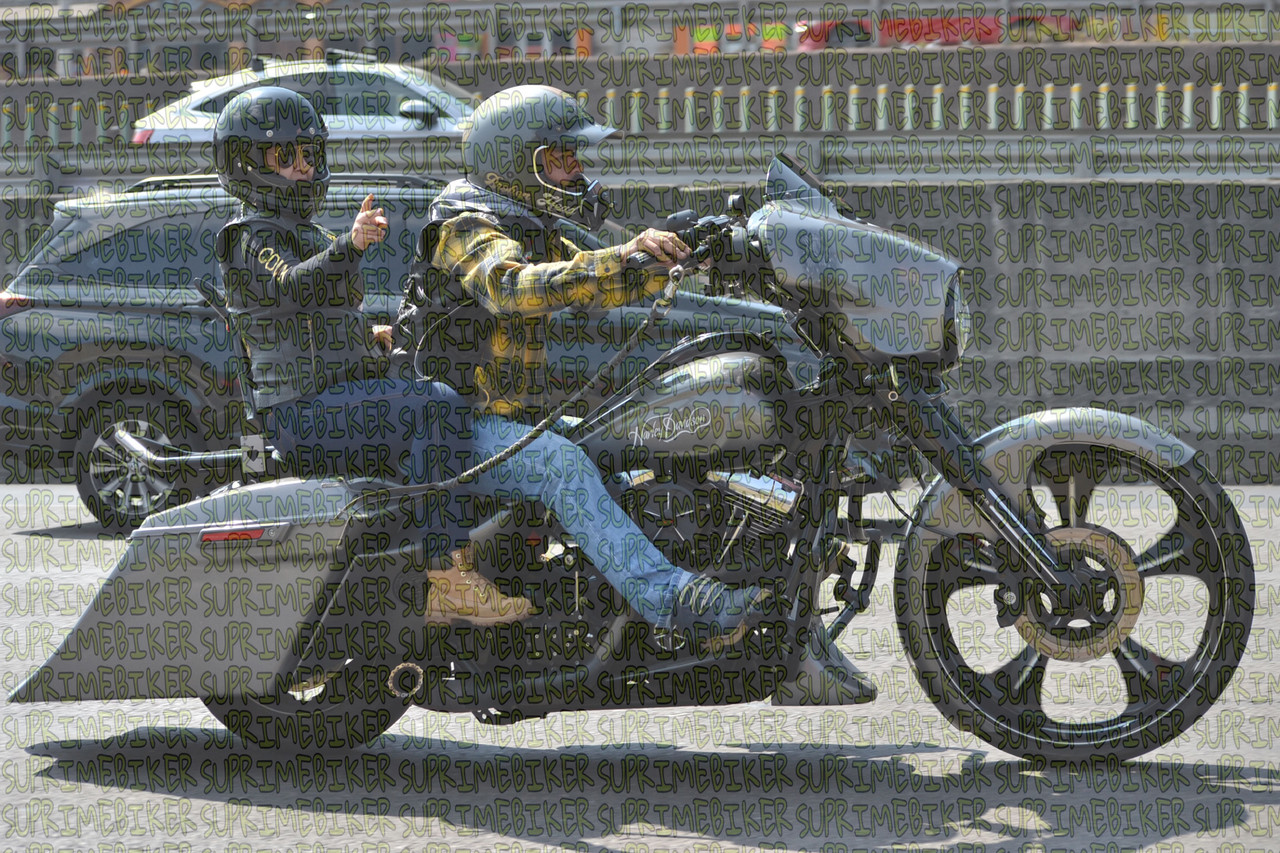 DSC 0219