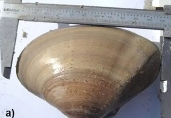 captures-chrome-capture-25536-696x479