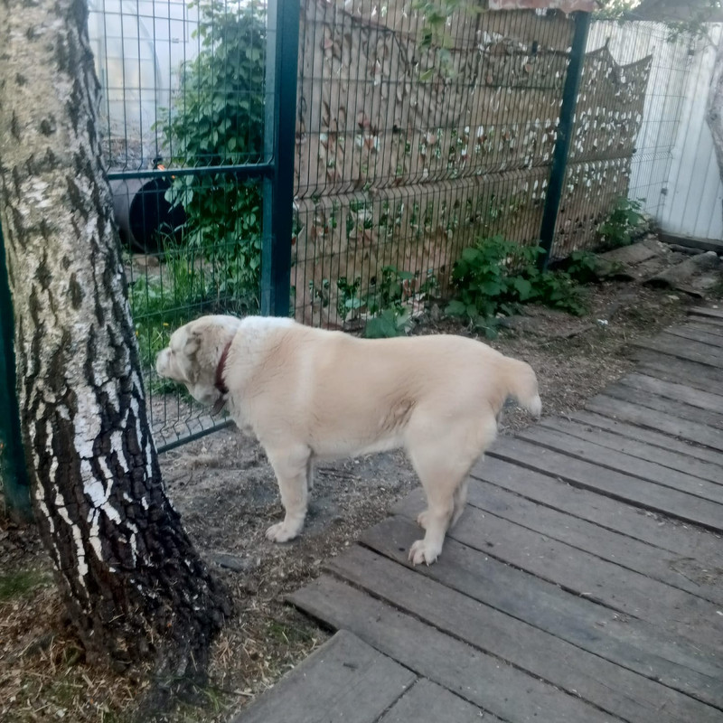 https://i.postimg.cc/nL7QgnNH/IMG-20250522-WA0009.jpg