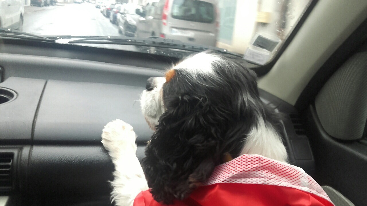 138EA57C-803B-4981-AEA7-4D9EADB152CE