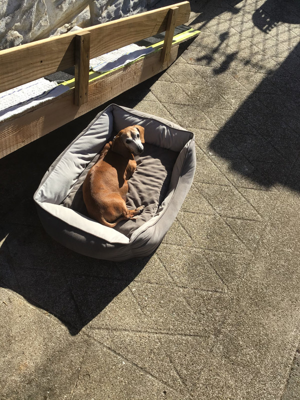 [Image: 17-F8901-A-8222-4-D89-8-F2-D-915336186-F9-E.jpg]