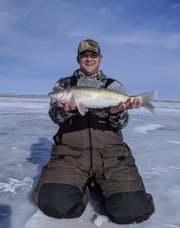 2B175B07-026B-4B01-B781-C1C3DD6006E9