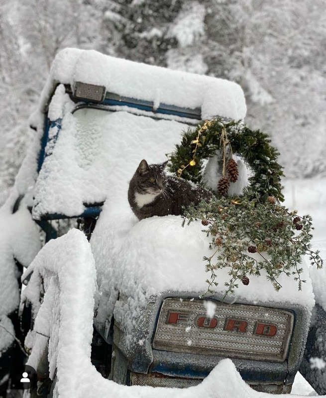 Screenshot_20231115_000601_Instagram