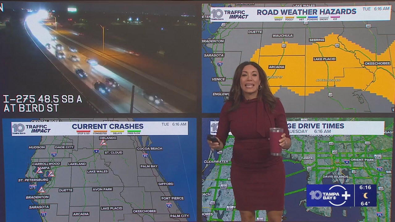 10 Tampa Bay News This Morning at 600 a m 20251118 11001200 ts snapshot 00 17 08 823