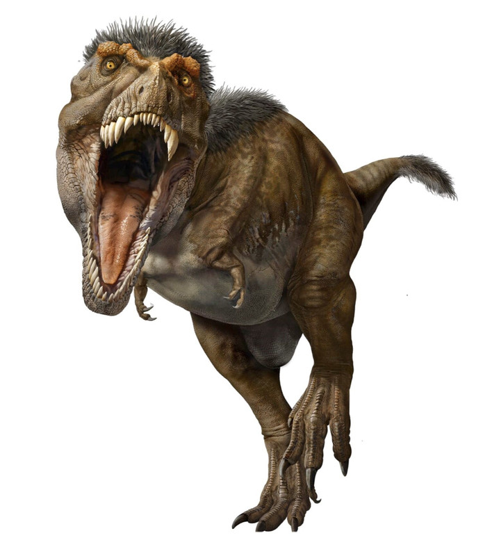 8e06b90cfda1f8c523e71b907dfc70ca