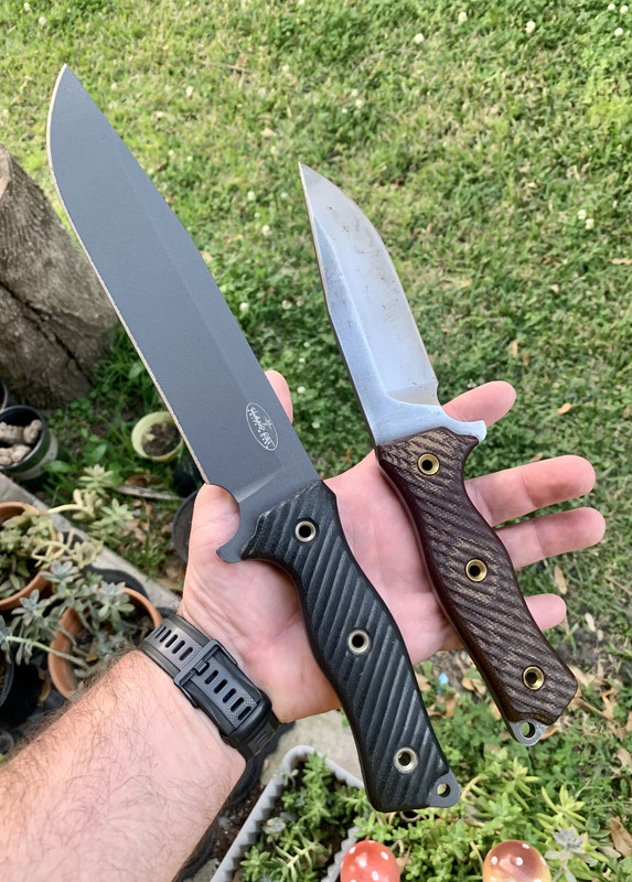 B85ED500-19FD-4C30-A450-1783B87185AF