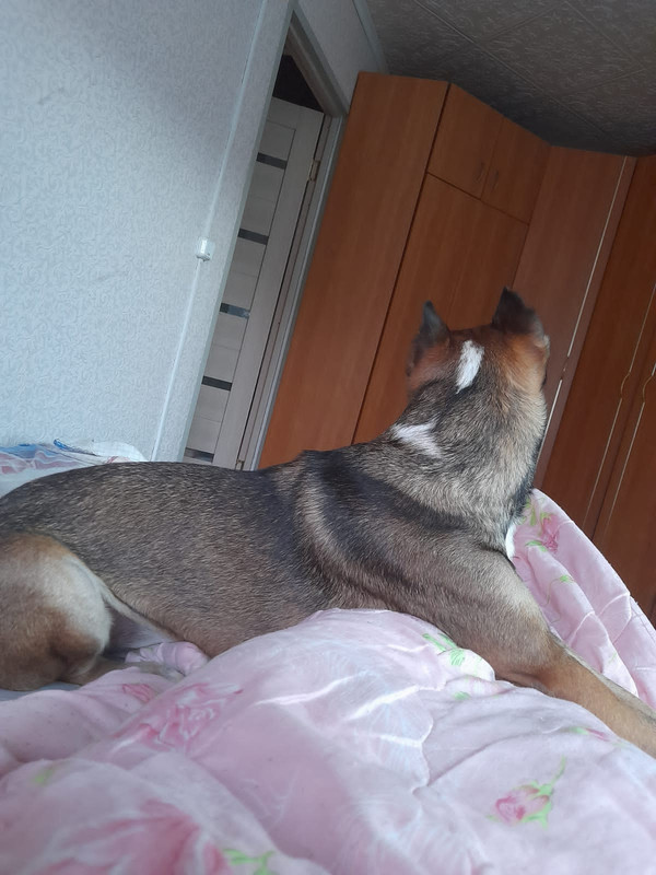 99FC642E-247B-4329-A5EF-7E6706C23AB8