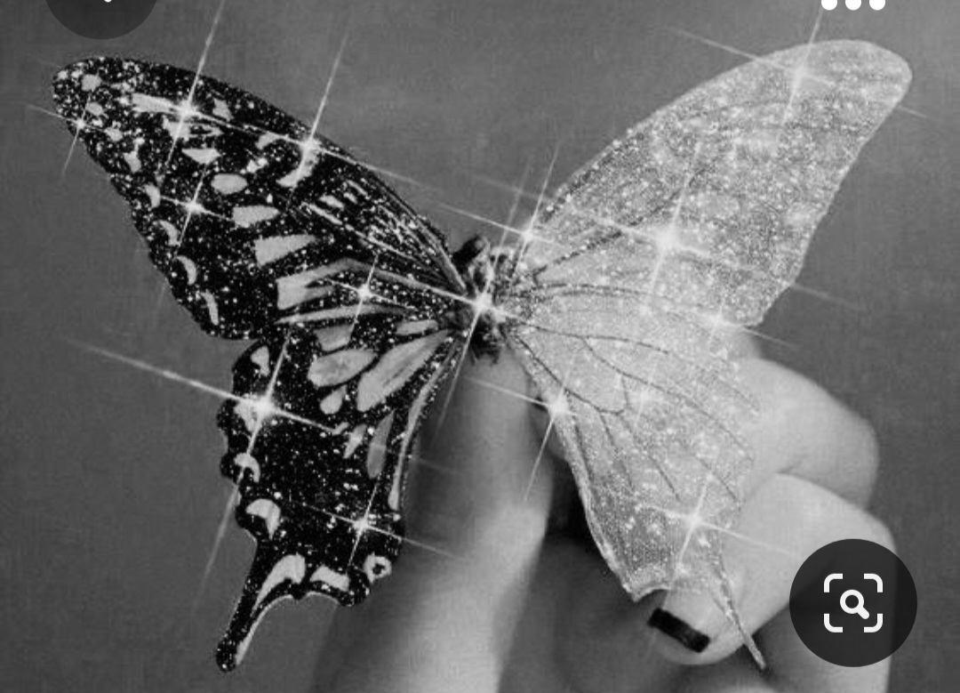 Screenshot_20231107_165857_Pinterest