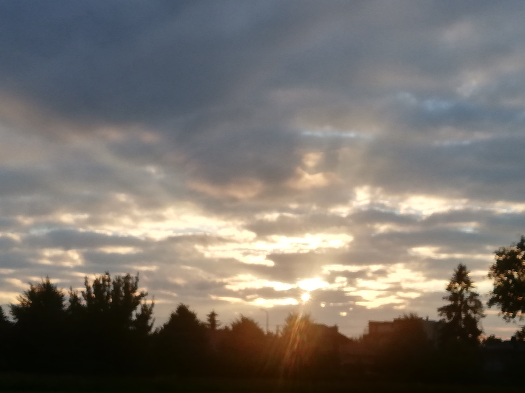 [Obrazek: IMG-20220702-201219.jpg]