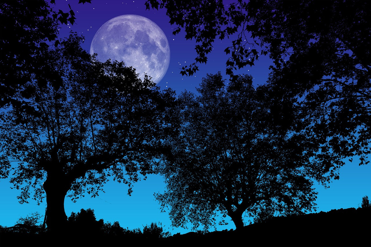 Blue-moon-night-4684899-1280.jpg