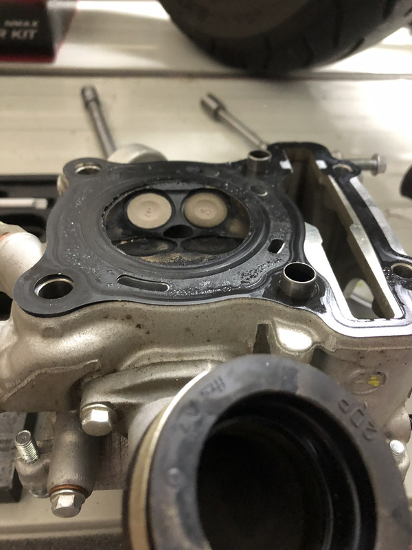 EB799547-A7E2-44E1-B4E2-D721B2229B7E