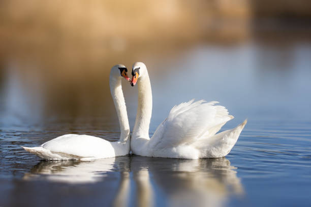 istockphoto-648435836-612x612.jpg