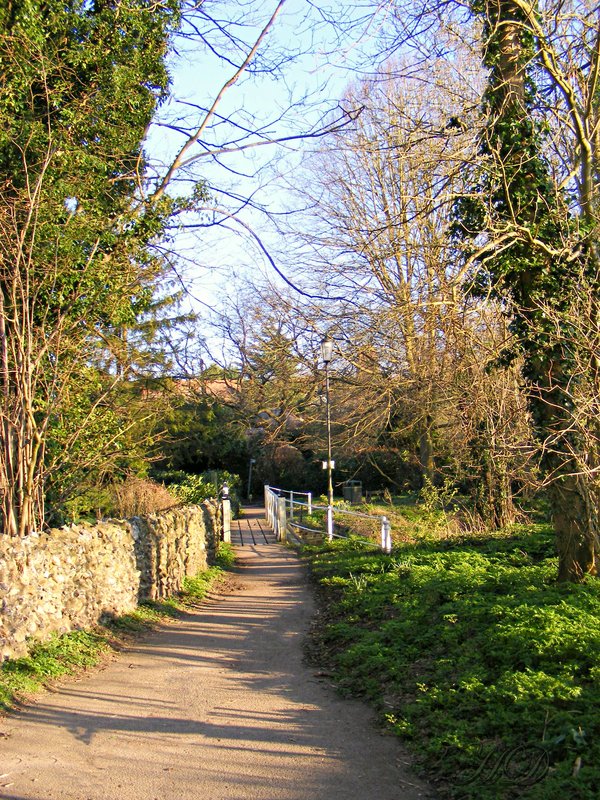 autumn-path-1.jpg