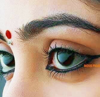 [Image: pp-IMG-20251111-184409.jpg]