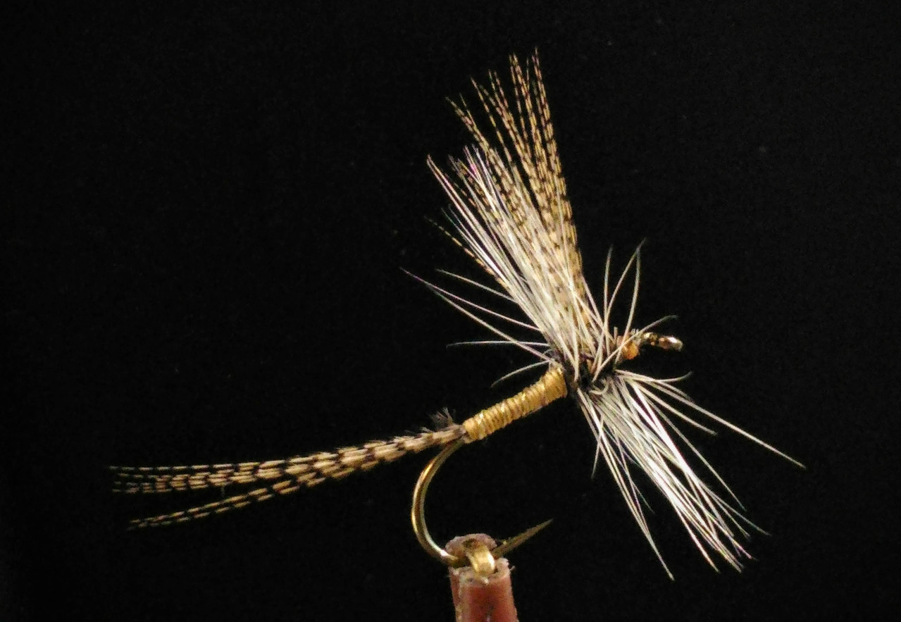 original 7f5a5829 c5a8 47f7 964c cb493fb56940 P 20210929 133903 HDR 2