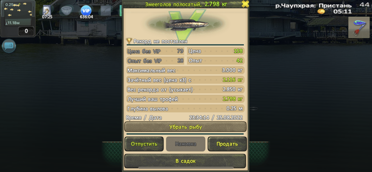 15-ADA968-75-F1-4-F3-D-BFFB-B622784-AC07