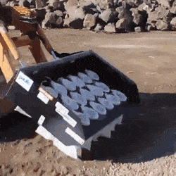 GIFs-22