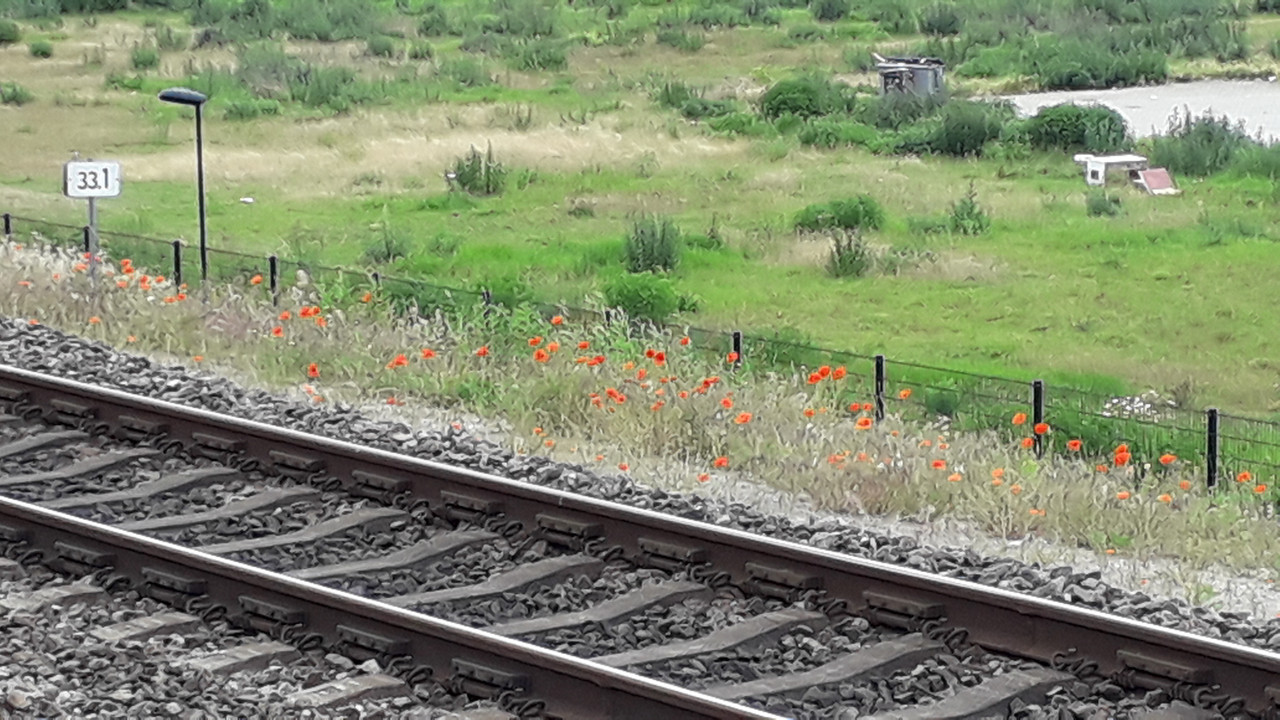 [Image: 20190611-140834.jpg]