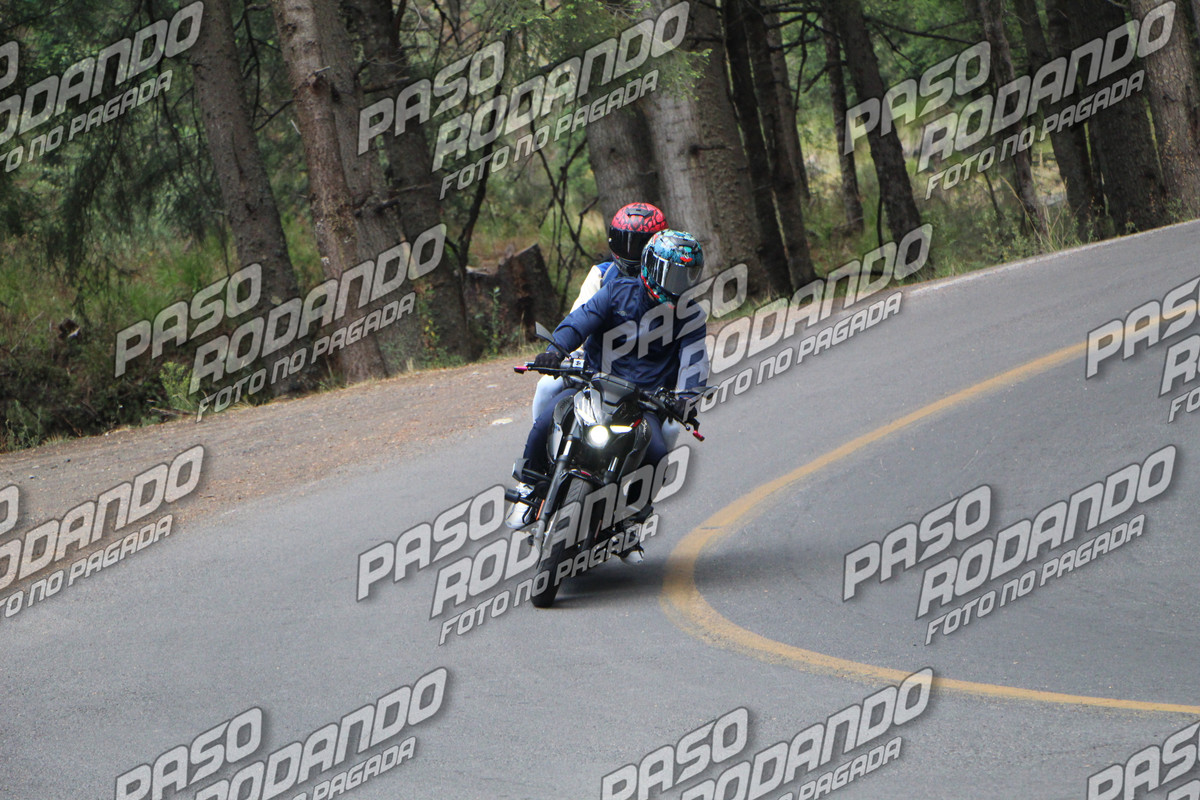 IMG 8969 wm 11112632 3 watermarked — Postimages