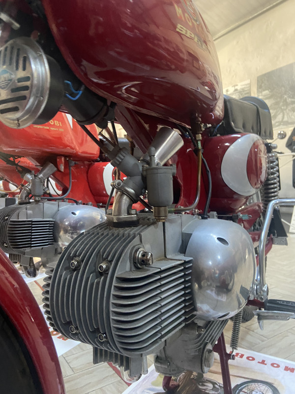 103231D9-13BA-41D5-AB71-88312BA732B9