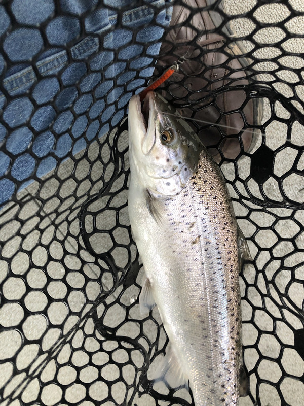 C5610A54-0523-46B8-B097-760D44241BEC