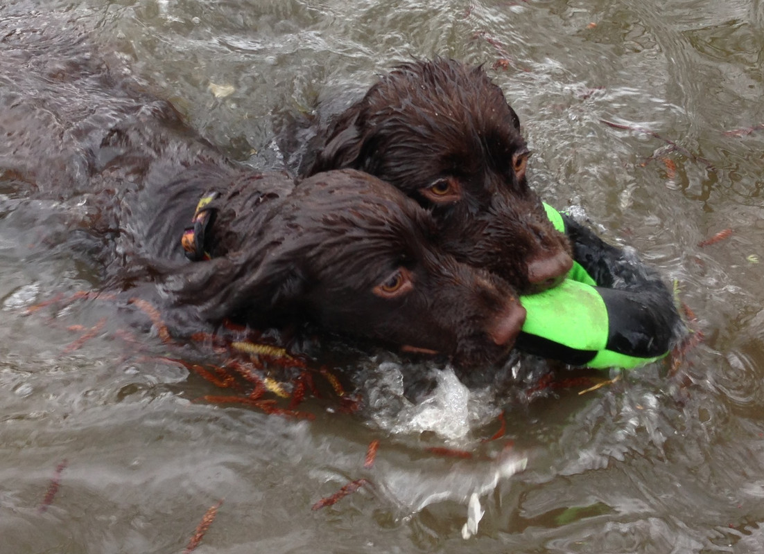 1F87B53C-2C0B-4F8F-BD57-EDF2FC3B17B3