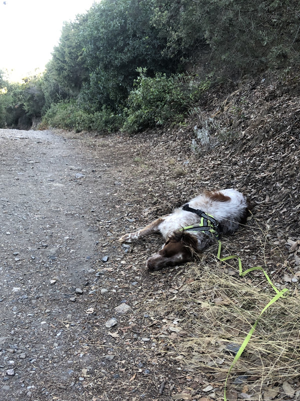 59573C20-1168-4D08-94B8-A36C834130A8