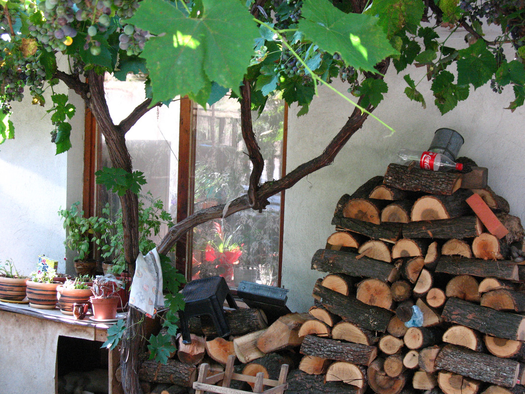 ADP System Pancharevo 2009 (31)