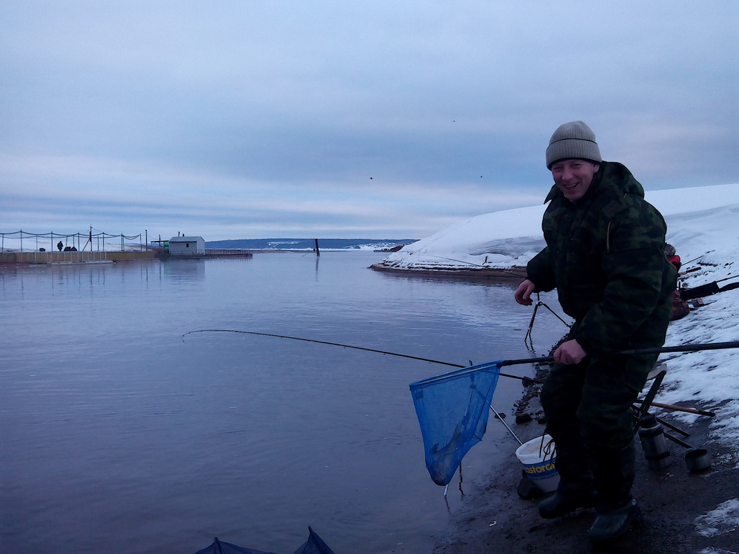 Добрянка 22.02.15 01