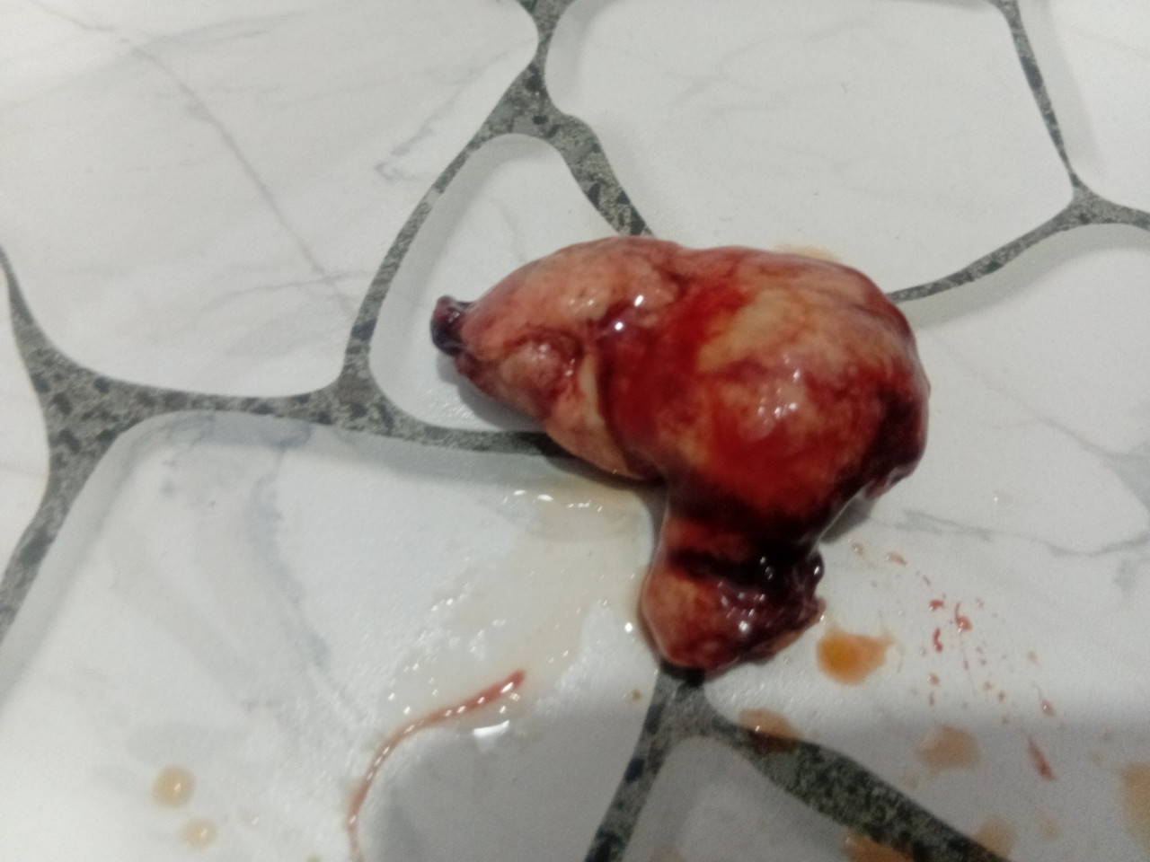 file FHu MCUJt7VZS1zdca33Hrh